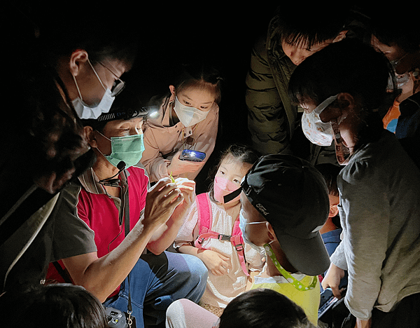 【宜蘭住宿】紫森林三富休閒農場～溪水抓蝦、餵食魚鴨、夜間生態