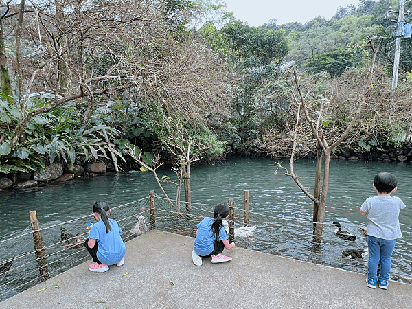 【宜蘭住宿】紫森林三富休閒農場～溪水抓蝦、餵食魚鴨、夜間生態