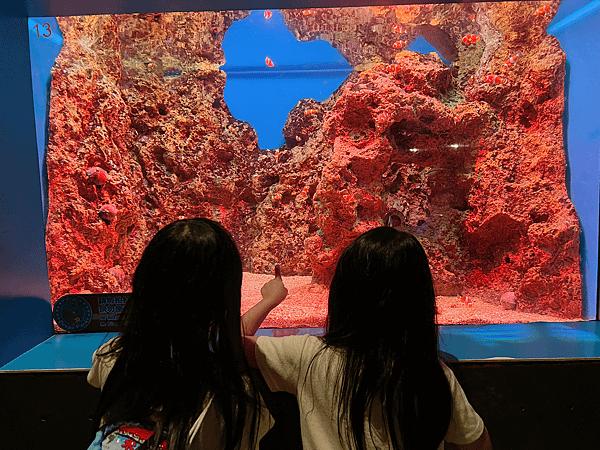 【團購】花蓮遠雄海洋公園水族館夜宿：親親夜未眠兩天一夜行程大