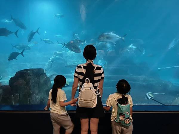 【團購】花蓮遠雄海洋公園水族館夜宿：親親夜未眠兩天一夜行程大