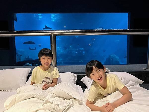 【團購】花蓮遠雄海洋公園水族館夜宿：親親夜未眠兩天一夜行程大