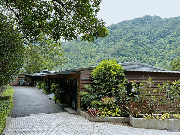 【親子旅遊】新北大板根森林溫泉酒店全新親子主題客房！恐龍探索