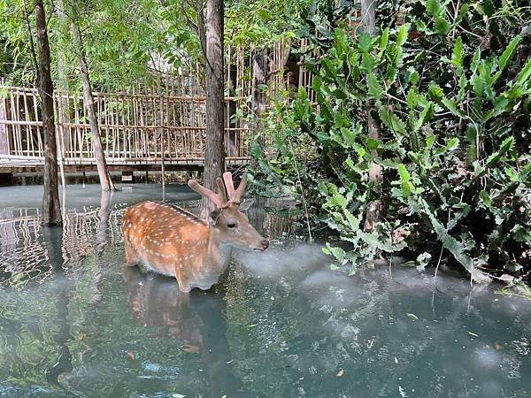 【團購】墾丁悠活渡假村，滑水道、SPA池、兒童遊戲區、館內沙