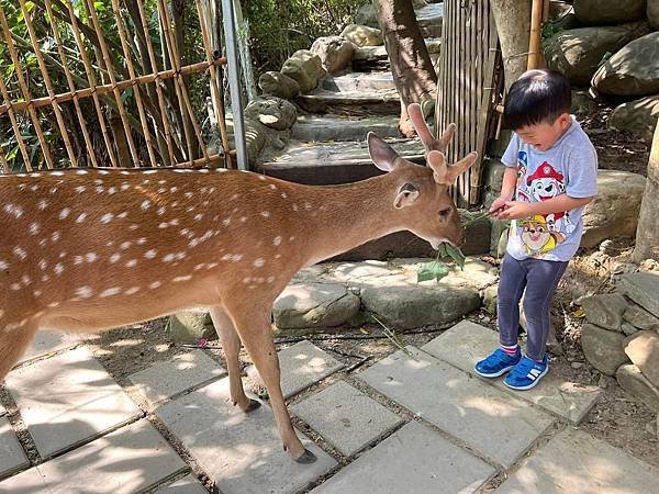 【團購】墾丁悠活渡假村，滑水道、SPA池、兒童遊戲區、館內沙