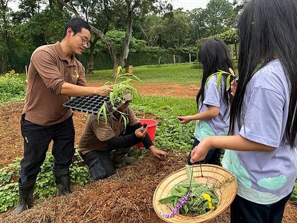 【團購】關西六福莊生態度假超狂獨家團，全新非洲探索主題遊戲室