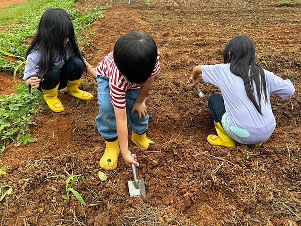 【團購】關西六福莊生態度假超狂獨家團，全新非洲探索主題遊戲室