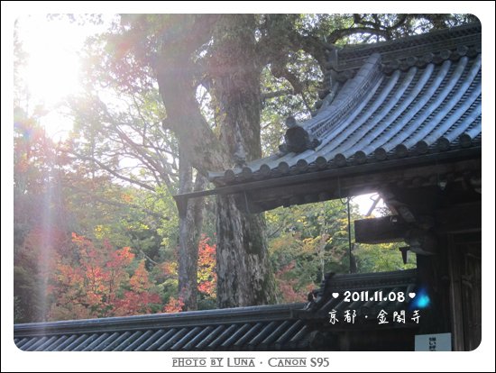 20111108-85金閣寺