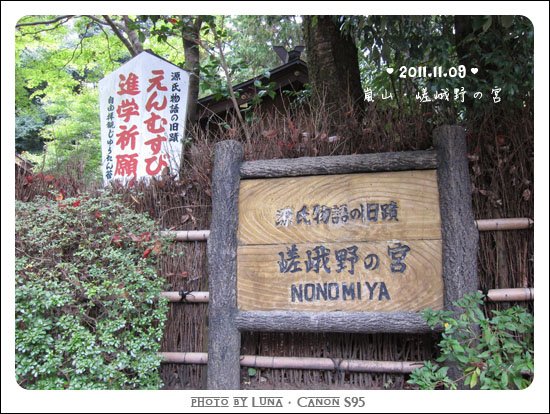 20111109-67野宮神社