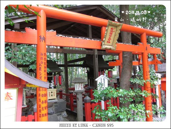 20111109-71野宮神社.jpg