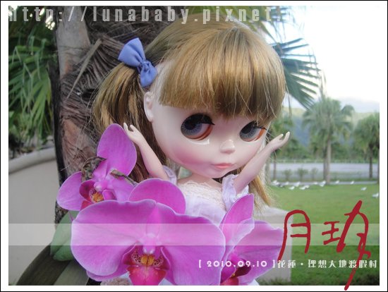20100909花蓮理想大地20.jpg