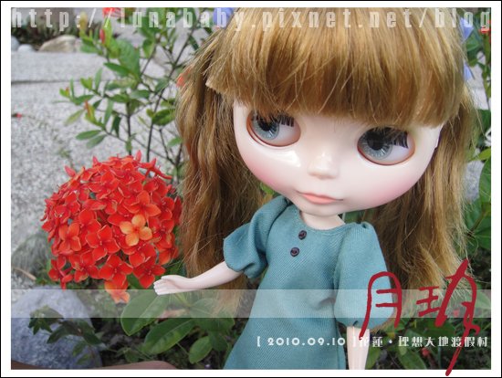 20100909花蓮理想大地10.jpg