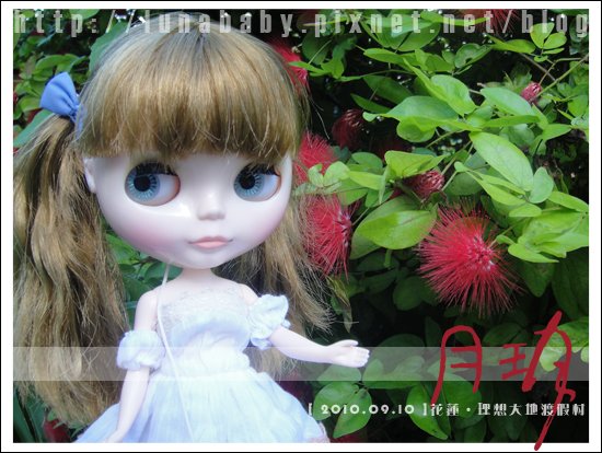 20100909花蓮理想大地11.jpg