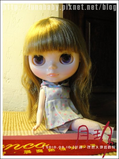 20100909花蓮理想大地02.jpg