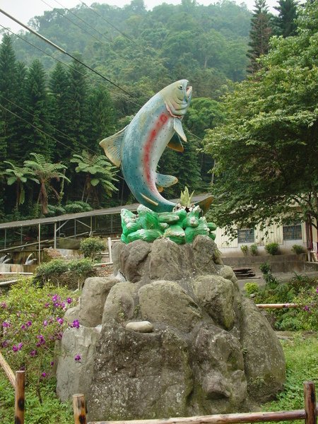 DSC08074.JPG
