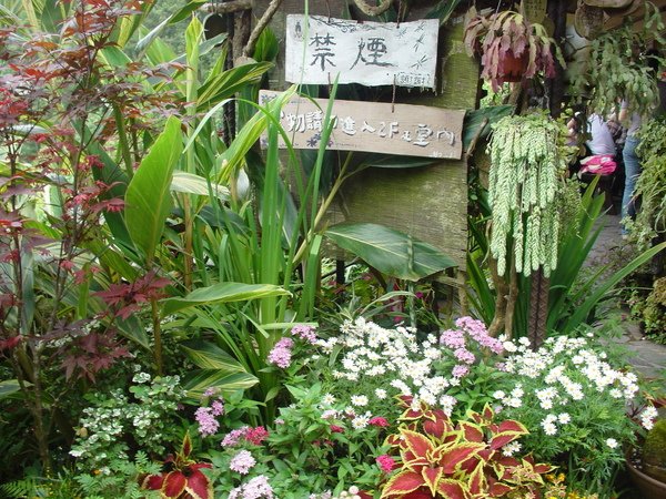 DSC08123.JPG