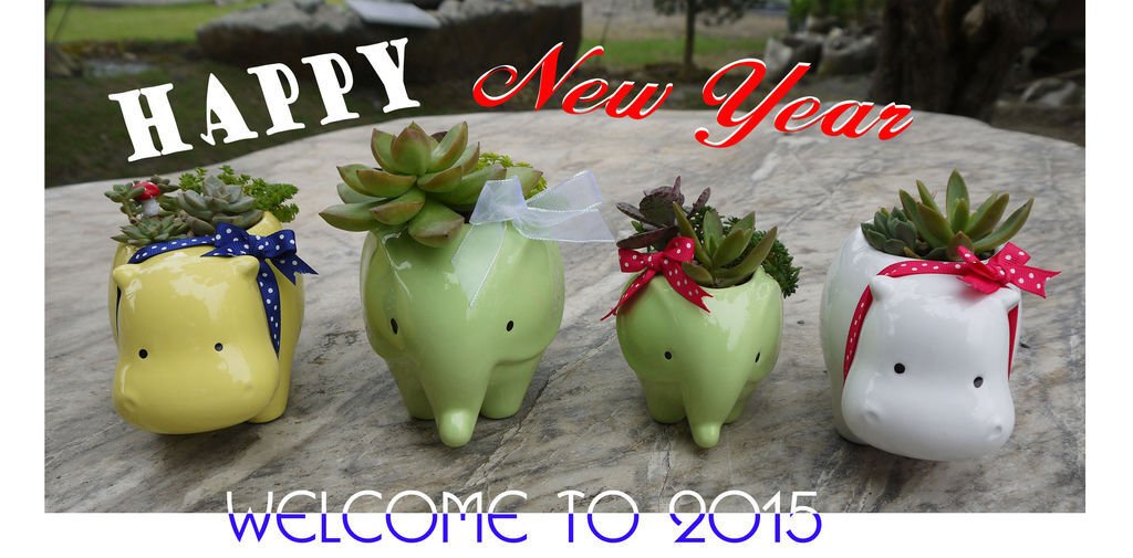 NEw year