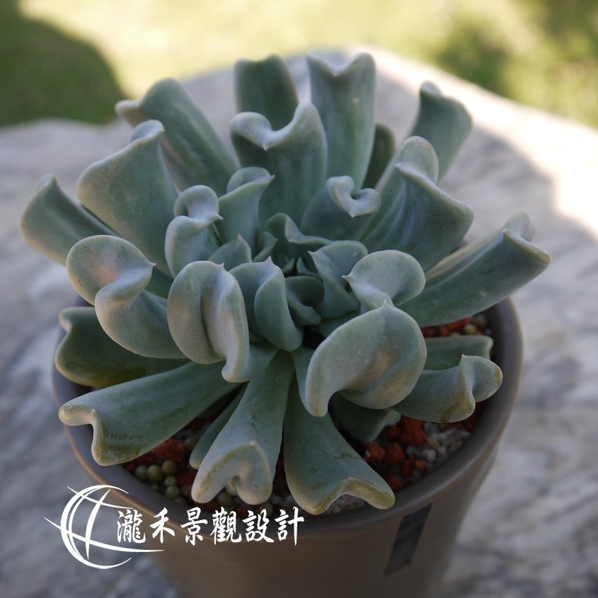 P1820782