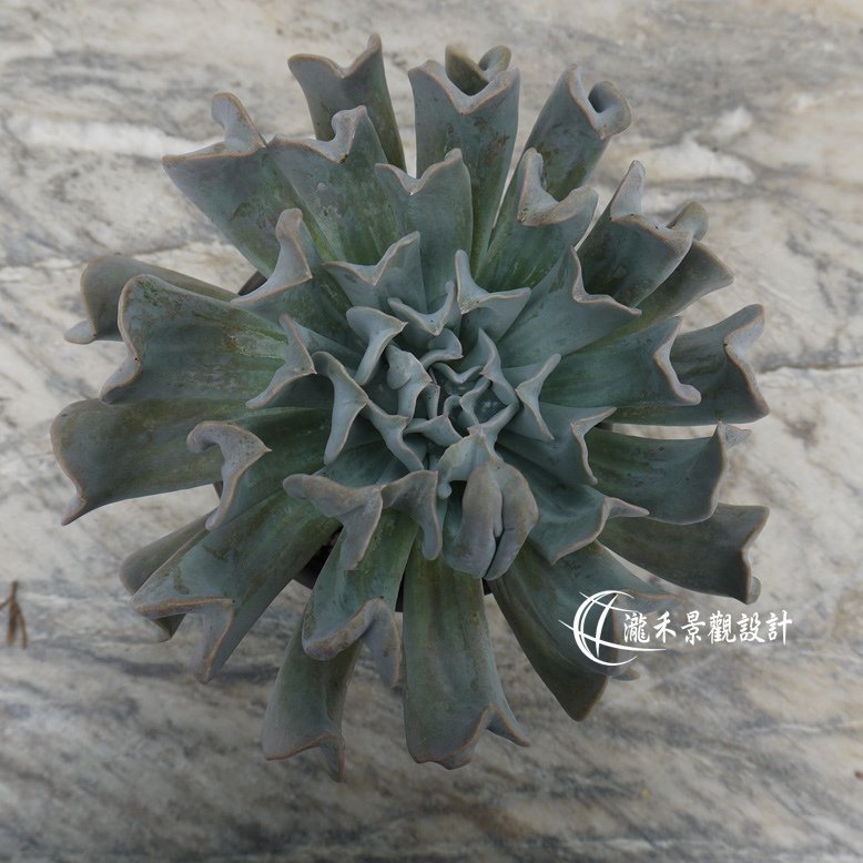 P1850125