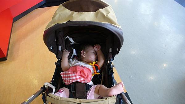 P1230491.JPG