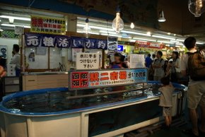 0720_011.釣花枝.jpg