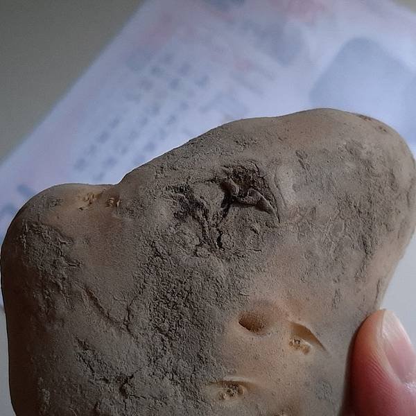 2024 - 08/10的購物紀錄！（大嬸採購去，久違了桃園