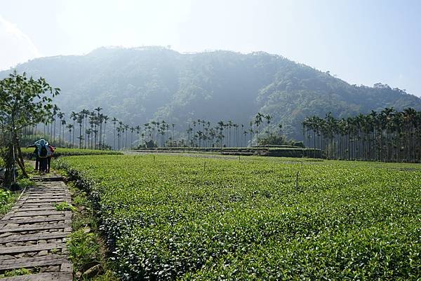 151031瑞峰竹坑溪步道-龍宮瀑布-006.JPG