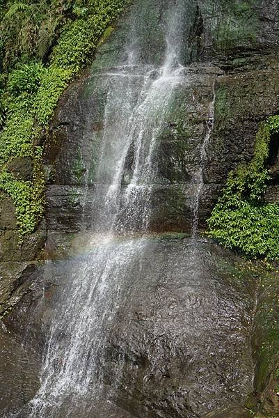 151031瑞峰竹坑溪步道-龍宮瀑布-028.JPG