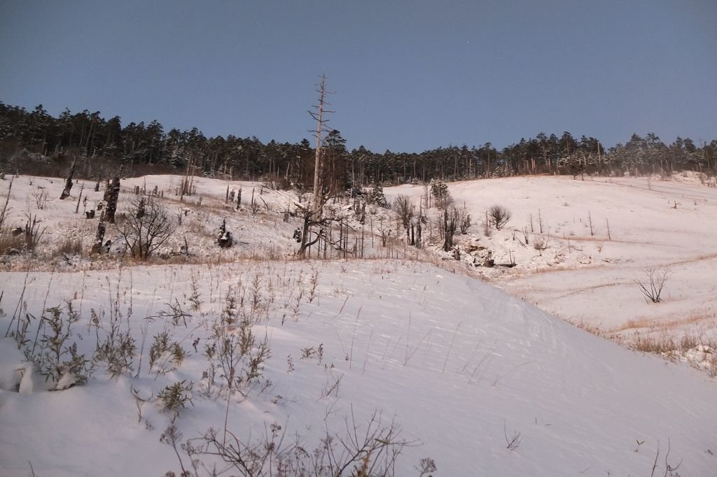 小鬍子雪訓2016_0125_062208(001).jpg