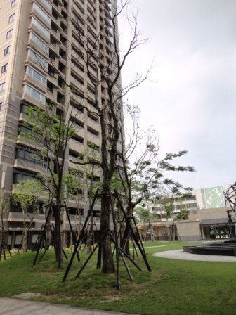 上林3