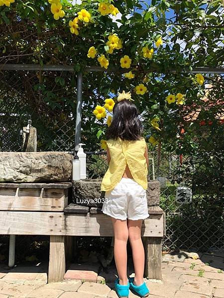 20180924苗栗_180925_0030.jpg