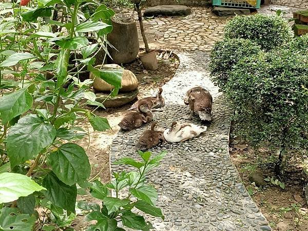 樸軒食房（樸軒景觀餐廳）請先來電預約