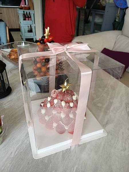 歡樂氣氛聖誕趴-朋友家聚&amp;彤彤學校活動10221021020