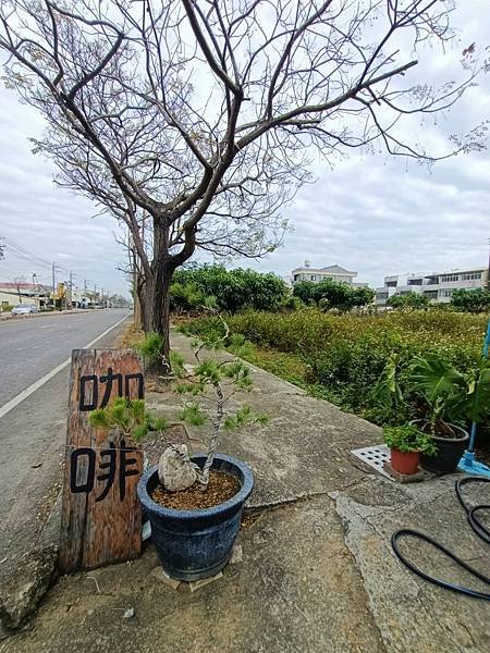 官田屋喝杯咖啡吧-遊官田必訪