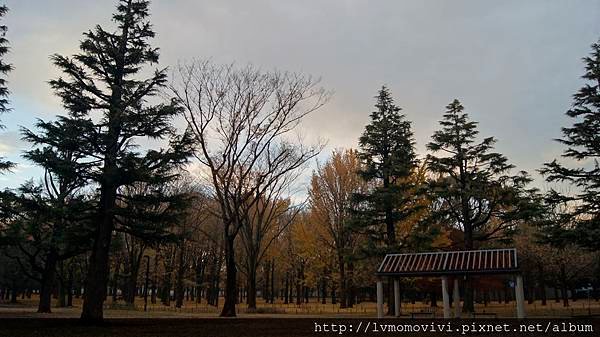 _DSC0147