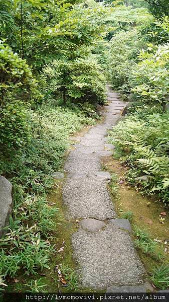 _DSC0068