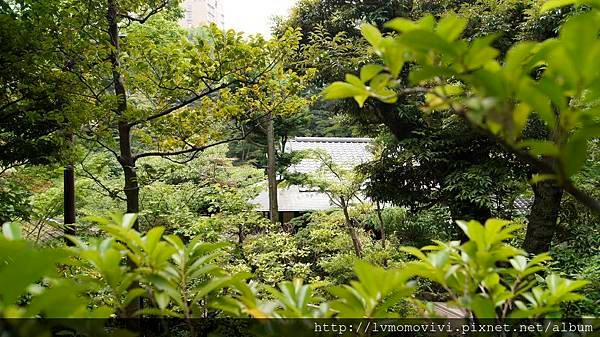 _DSC0082