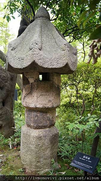 _DSC0105