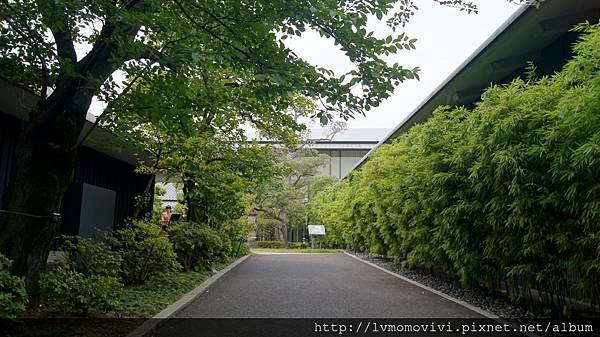 _DSC0108