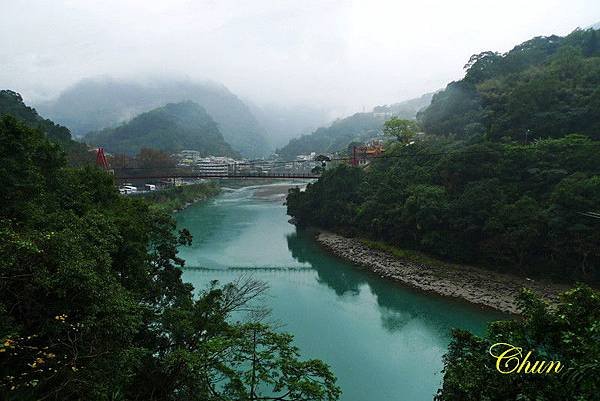 雨中烏來賞早櫻