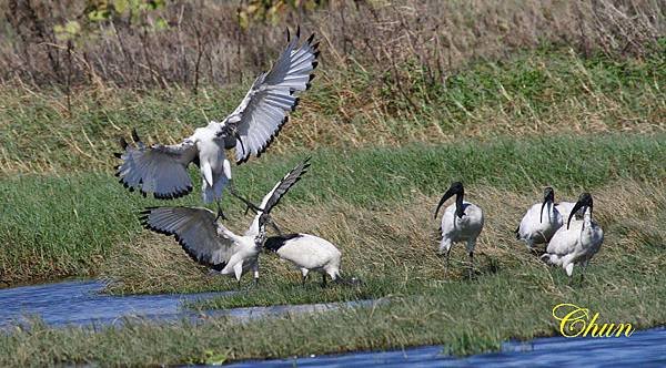 IMG_1025
