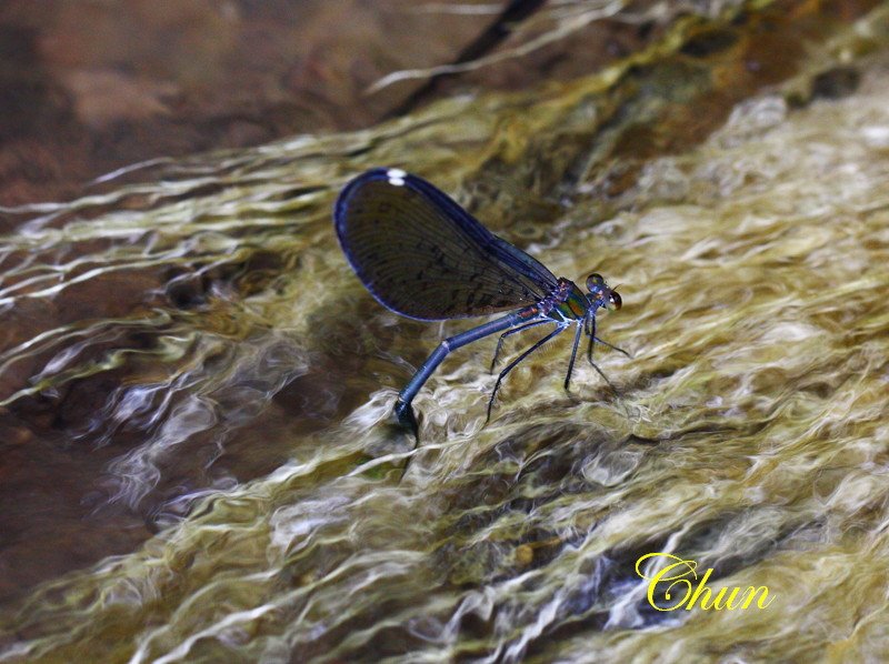 IMG_3857