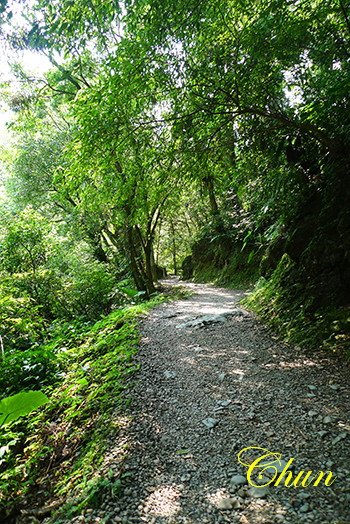 P1260141