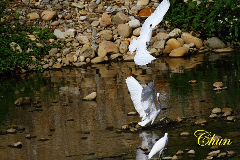 IMG_2020.JPG
