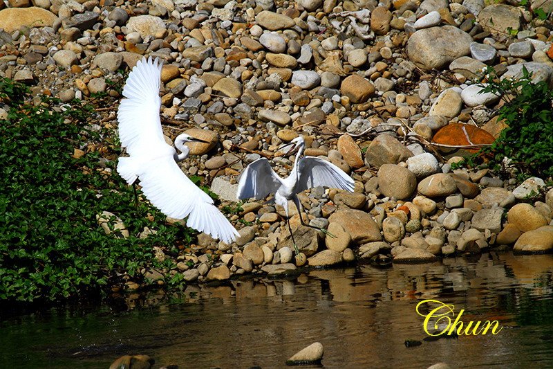 IMG_2042.JPG