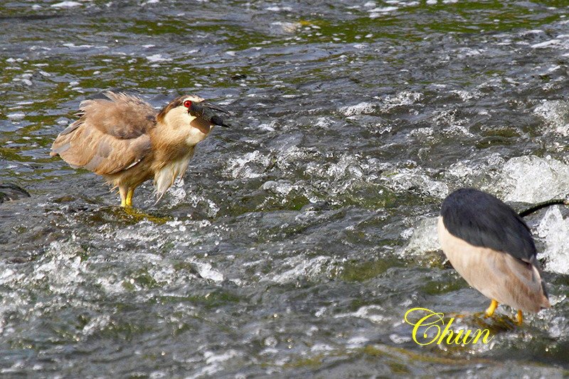 IMG_2259