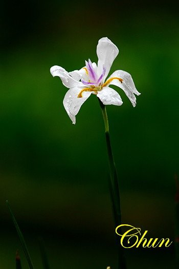IMG_6244