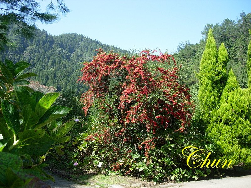 DSCN2485