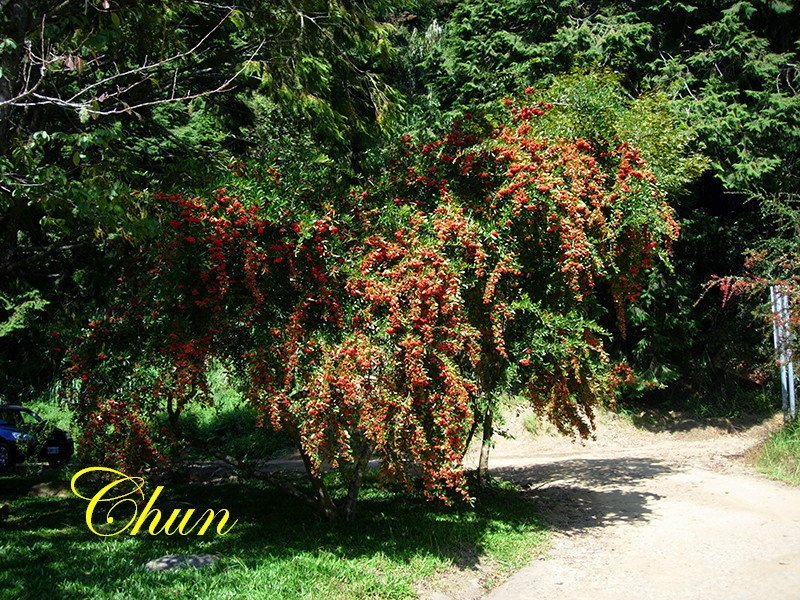 DSCN2476