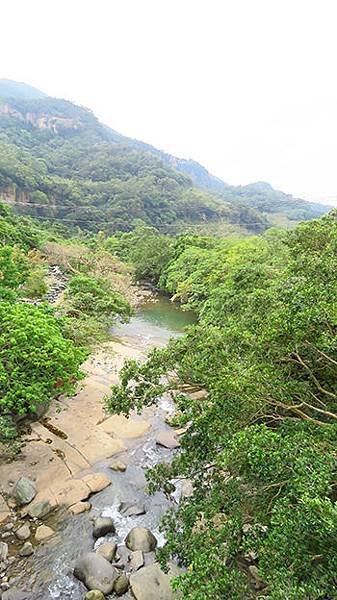IMG_1929