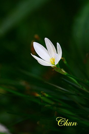 IMG_6516